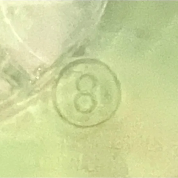 Lilly Pulitzer  Women's Flip Flops size 8 - Picture 7 of 7